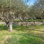Villa Uliveto *