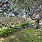Uliveto Camogli