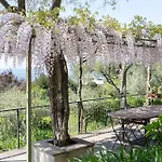 Uliveto Villa