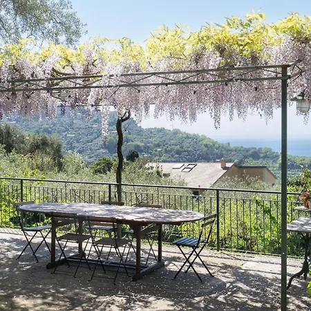 Uliveto Villa