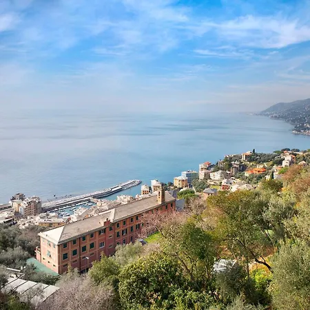 Uliveto * Camogli