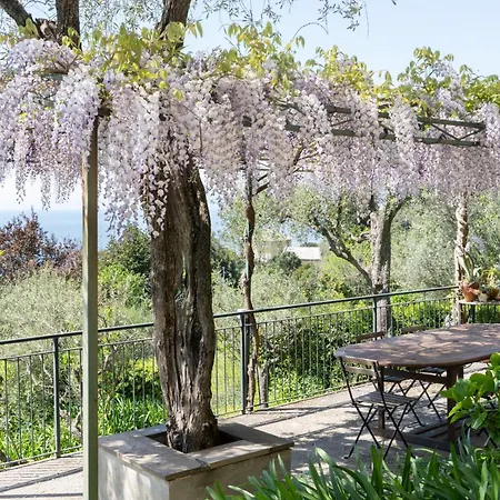 Uliveto Villa *