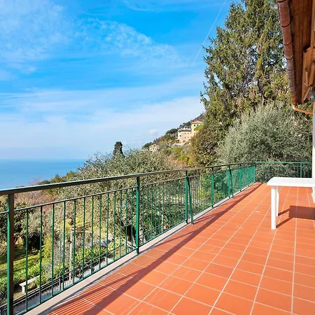 Uliveto Camogli
